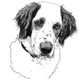 realistic serene dog