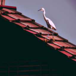 minimalist vibrant wildlife